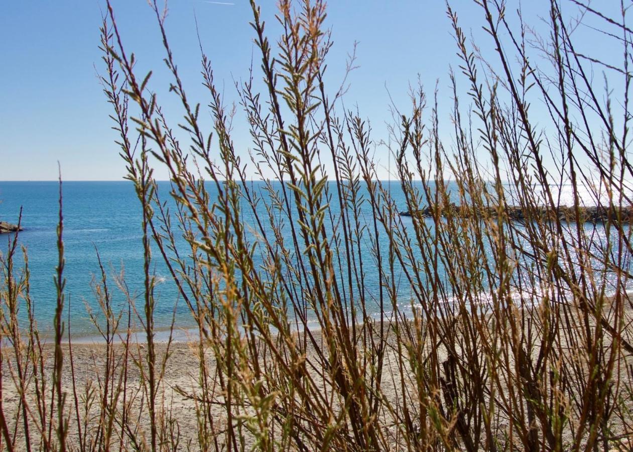 Duplex Carma Lägenhet L'Ametlla de Mar Exteriör bild