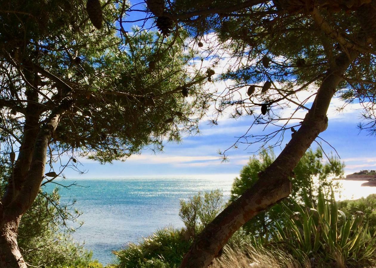 Duplex Carma Lägenhet L'Ametlla de Mar Exteriör bild
